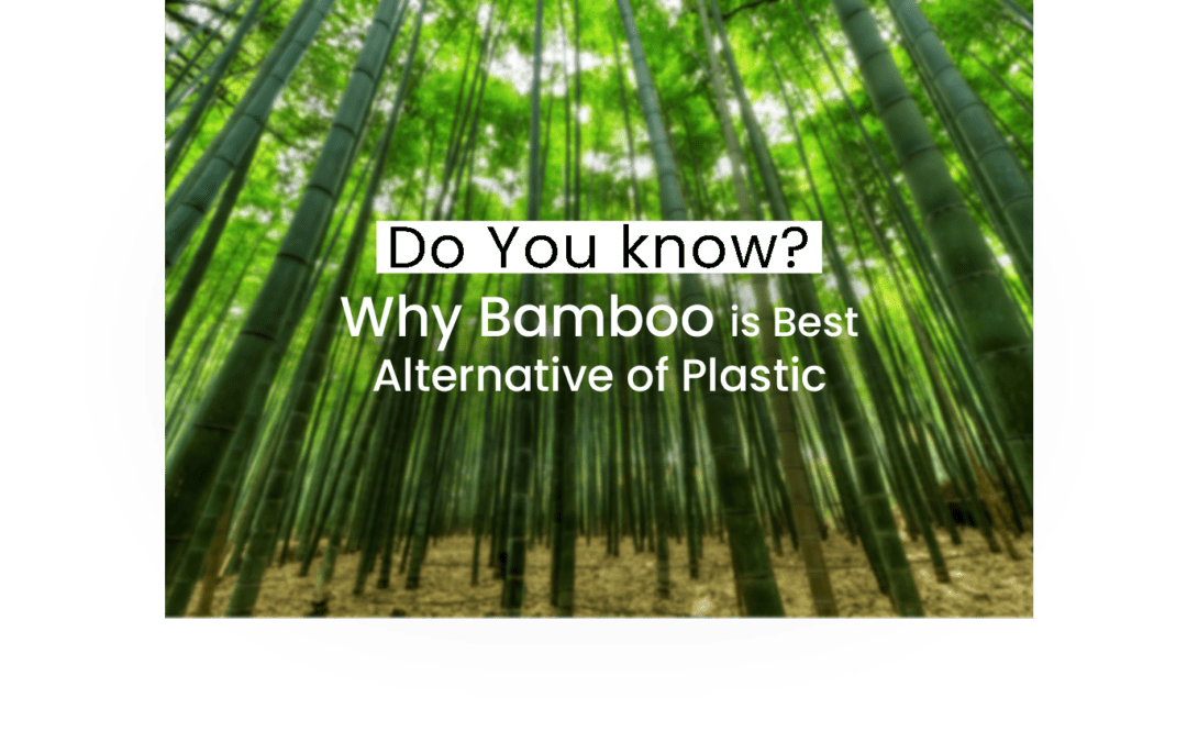 Why bamboo is the best alternative to plastic