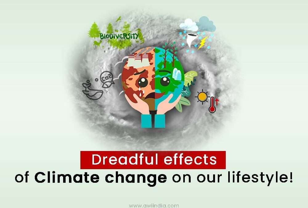 Dreadful effects of climate change on our lifestyle!