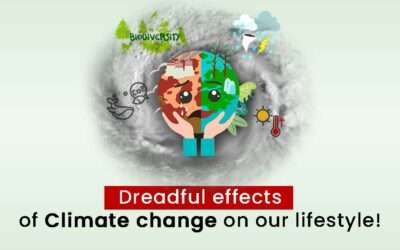 Dreadful effects of climate change on our lifestyle!