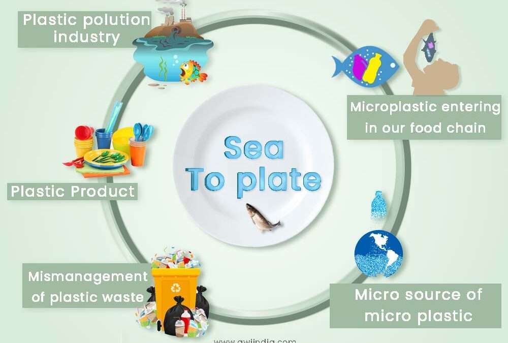 How badly microplastics are entering the food chain?