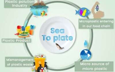 How badly microplastics are entering the food chain?
