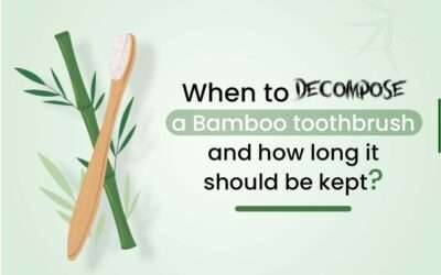 When to  decompose a bamboo toothbrush and how long it should be kept?