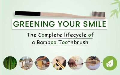 Greening Your Smile: The Complete Lifecycle of a Bamboo Toothbrush